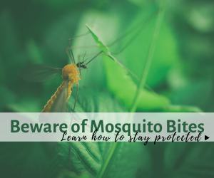 Beware of Mosquitoes Bites
